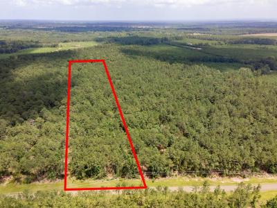 Lot 29 Eagles Nest, Broaddus, Texas 75929, États-Unis
