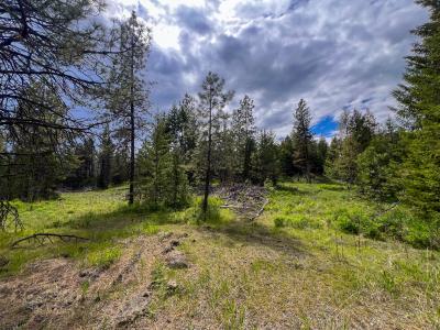 20XX Clemons Rd, Rice, Washington 99167, Estados Unidos
