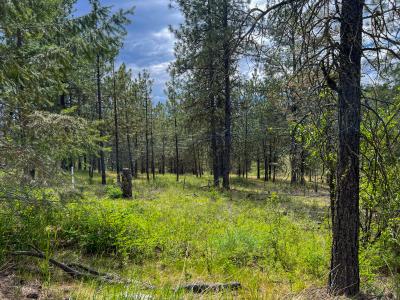20XX Clemons Rd, Rice, Washington 99167, USA