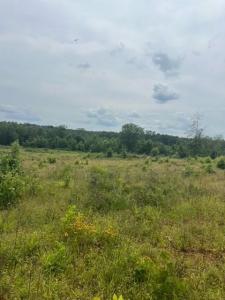 280 Martin Road, Plain Dealing, 路易西安納州 71064, 美國