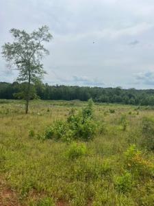 280 Martin Road, Plain Dealing, 路易西安納州 71064, 美國