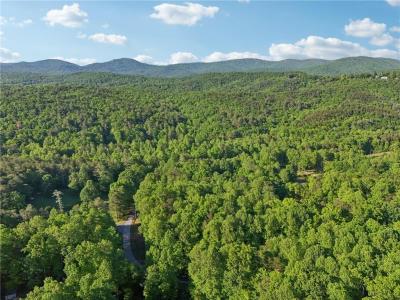 43 Smith Circle, Dawsonville, Georgia 30534, HOA KỲ