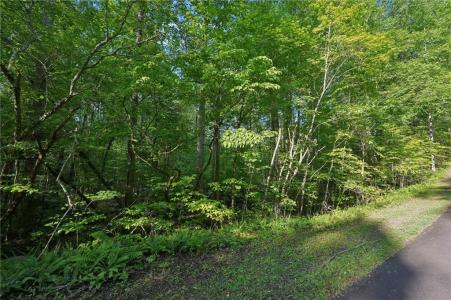 43 Smith Circle, Dawsonville, Geórgia 30534, Estados Unidos
