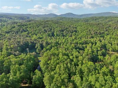 43 Smith Circle, Dawsonville, Geórgia 30534, Estados Unidos
