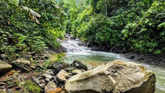 Savegre Quepos, Puntarenas 00001, Costa Rica
