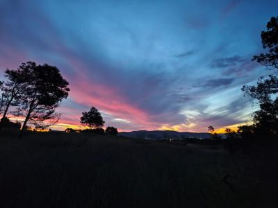 Paarl, Western Cape, דרום אפריקה
