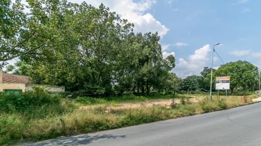 Randburg, Gauteng, South Africa