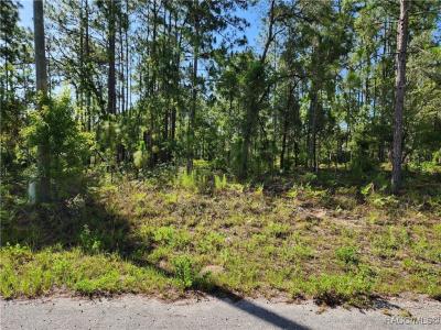 Citrus Springs, Florida 34434, Amerika Birleşik Devletleri