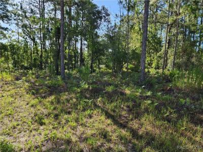 Citrus Springs, Florida 34434, Amerika Birleşik Devletleri