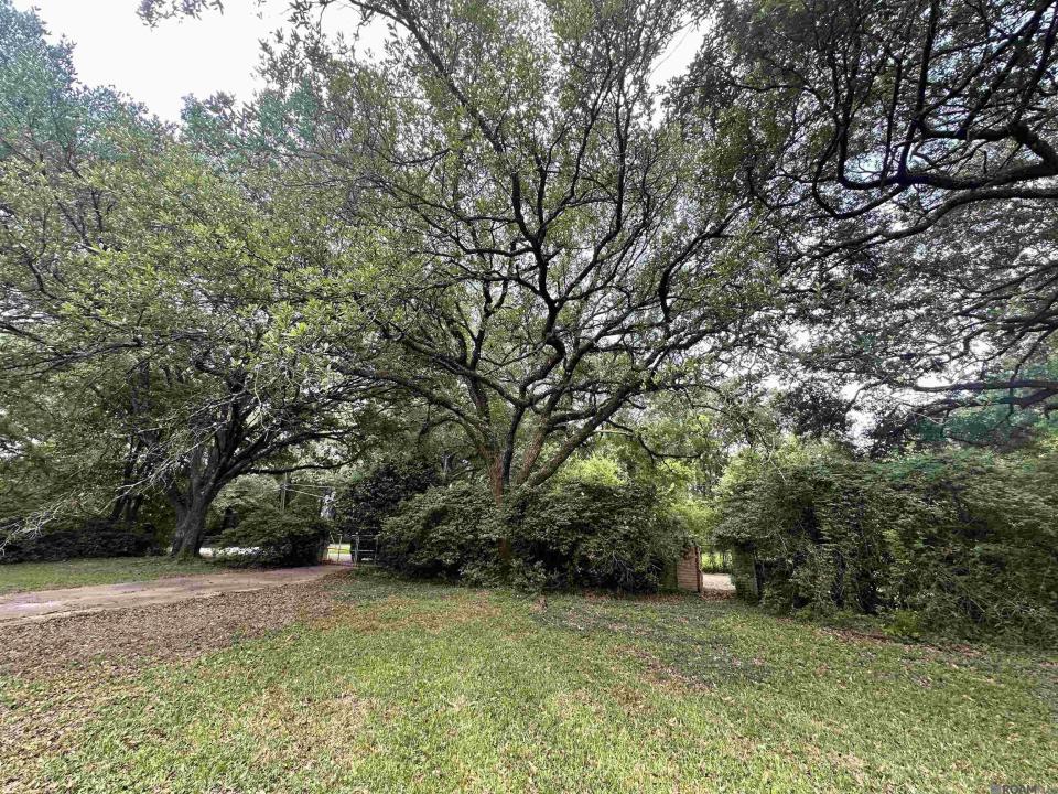2557 Riverview Dr, Denham Springs, Louisiana 70726, Estados Unidos