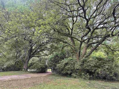 2557 Riverview Dr, Denham Springs, Louisiana 70726, Estados Unidos