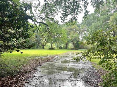 2557 Riverview Dr, Denham Springs, Louisiana 70726, Estados Unidos