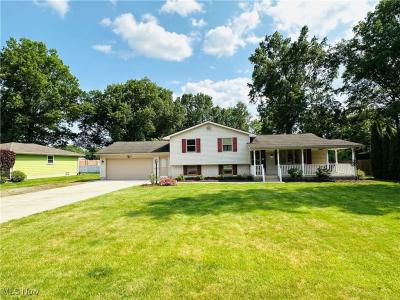 1684 Morris Street, Mineral Ridge, Ohio 44440, USA