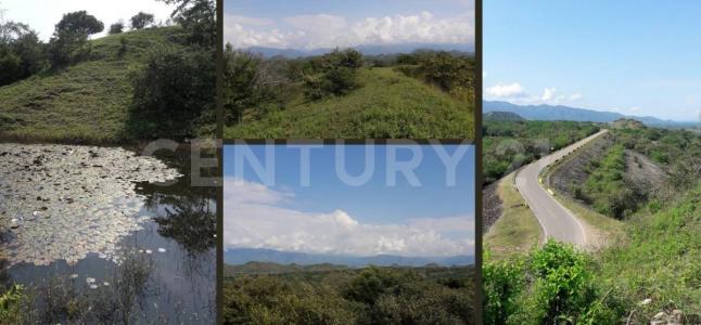 Neiva, Huila 00001, Colombia