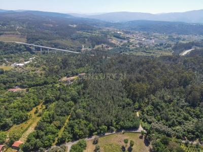 Lousã, Coimbra 3200, Portogallo