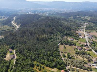 Lousã, Coimbra 3200, Bồ Đào Nha