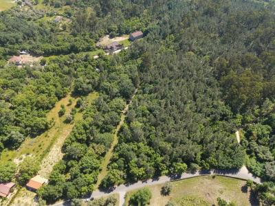Lousã, Coimbra 3200, Bồ Đào Nha