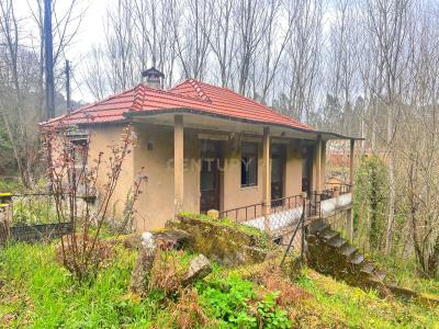 São Pedro Do Sul, 维塞乌 3660, 葡萄牙