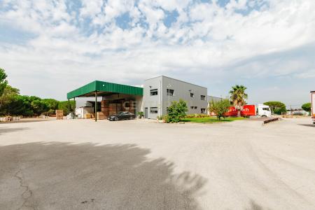 Montijo, Setúbal 2985-107, Portugal