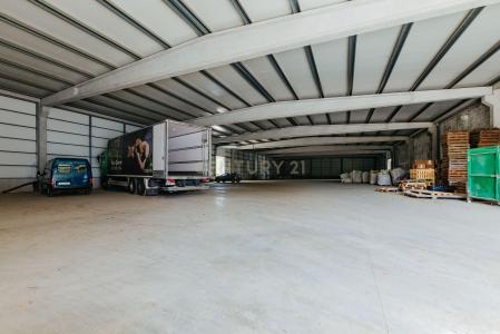 Montijo, Setubal 2985-107, Portugal