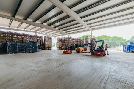 Montijo, Setubal 2985-107, Portugal