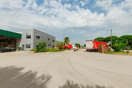 Montijo, Setúbal 2985-107, Portugal