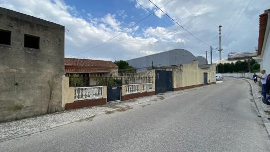 Marinha Grande, Leiria 2430-299, Portogallo