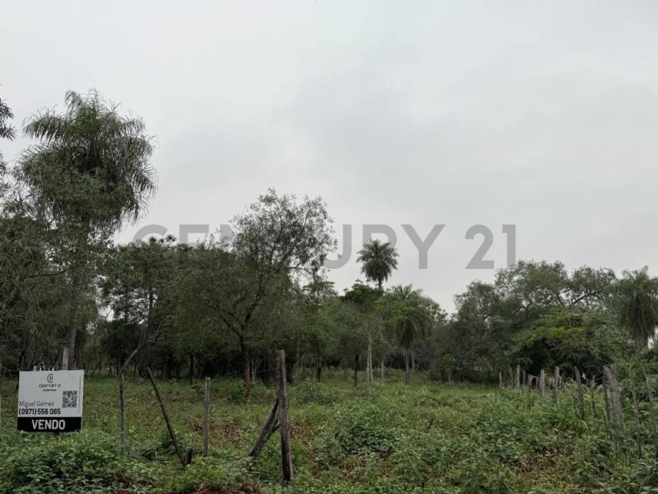 Ykua karanday , Luque, Central 00001, باراغواي