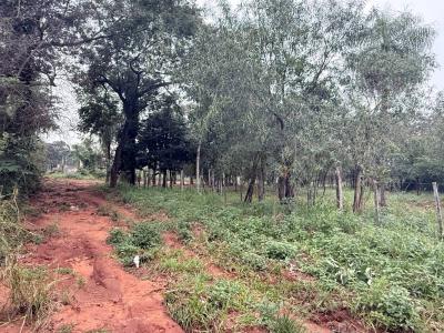 Ykua karanday , Luque, Central 00001, Paraguay