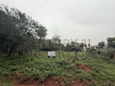 Ykua karanday , Luque, Central 00001, باراغواي