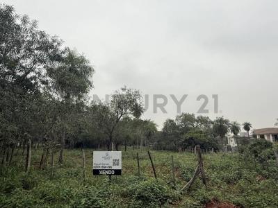 Ykua karanday , Luque, Central 00001, باراغواي