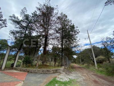 La esperanza, La Magdalena Tepepa S/N,, Yauhquemehcan, Tlaxcala 90450, Mexico