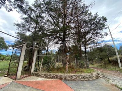 La esperanza, La Magdalena Tepepa S/N,, Yauhquemehcan, Tlaxcala 90450, Mexico