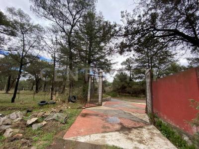 La esperanza, La Magdalena Tepepa S/N,, Yauhquemehcan, Tlaxcala 90450, Mexico