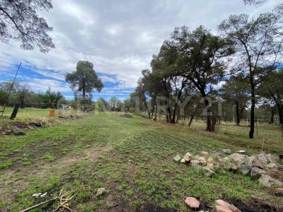 La esperanza, La Magdalena Tepepa S/N,, Yauhquemehcan, Tlaxcala 90450, Mexico