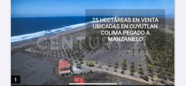 Armería, 科利马 28350, 墨西哥