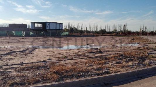 244W+C9 , Luján De Cuyo, Mendoza 00001, Argentina