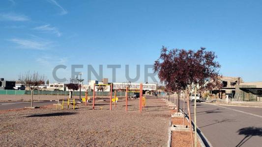 244W+C9 , Luján De Cuyo, Mendoza 00001, Argentina