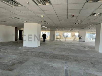 Centro / Microcentro, Capital Federal 00001, ארגנטינה