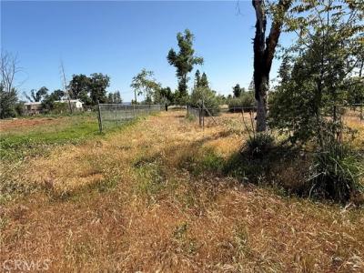 1438 Toni Drive, Para, California 95969, USA