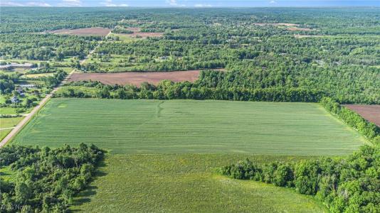 Dewey Road, Thompson, オハイオ 44086, アメリカ合衆国