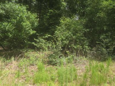 000 Mallon Rd, Americus, Georgia 31709