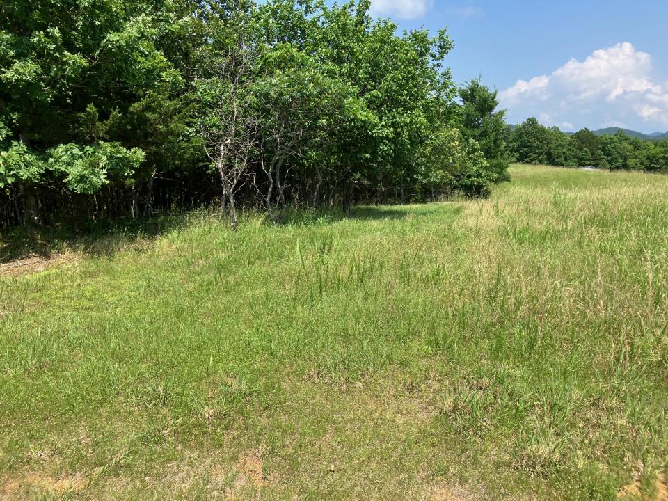 Tract 1 TBD Thompson Creek Lane, Mena, 阿肯色州 71953, 美国