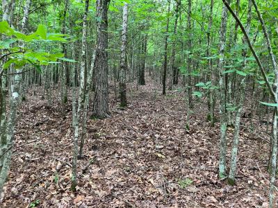 Tract 1 TBD Thompson Creek Lane, Mena, 阿肯色州 71953, 美国