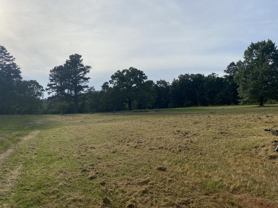 2403 County Road 3290, Clarksville, ארקנסו 72830, ארצות הברית של אמריקה