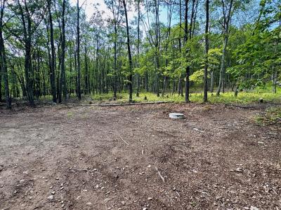 Foothill Blvd 5 Boulevard, Effort, Pennsylvania 18330, HOA KỲ