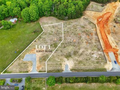 Lot 1 Richards Ferry Road, Richardsville, 維吉尼亞州 22736, 美國