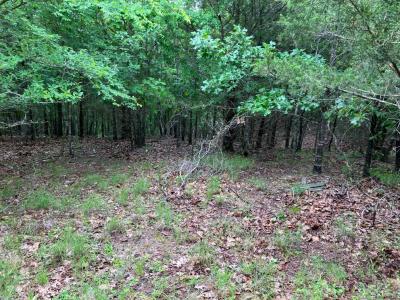 Tract 3 TBD Thompson Creek Lane, Mena, アーカンソー 71953, アメリカ合衆国