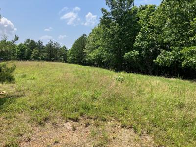 Tract 3 TBD Thompson Creek Lane, Mena, アーカンソー 71953, アメリカ合衆国