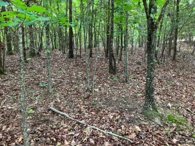 Tract 2 TBD Thompson Creek Lane, Mena, Arkansas 71953, Estados Unidos